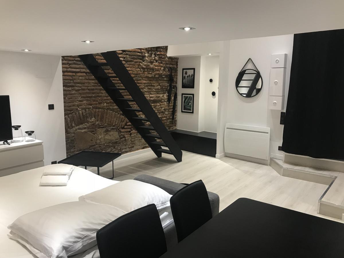 Apartmán O Briques De Toulouse Exteriér fotografie