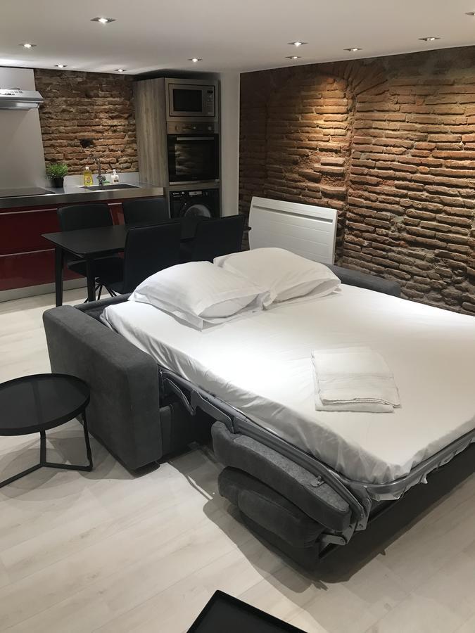 Apartmán O Briques De Toulouse Exteriér fotografie